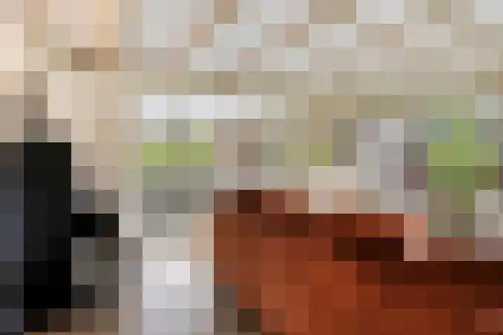 Besselaar 7 Veghel thumbnail 7