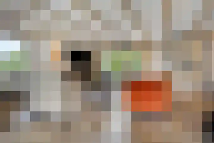 Besselaar 7 Veghel thumbnail 8