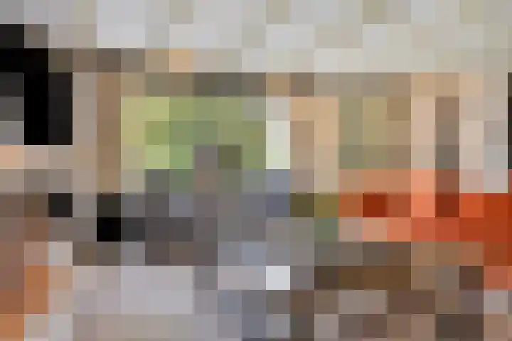 Besselaar 7 Veghel thumbnail 9