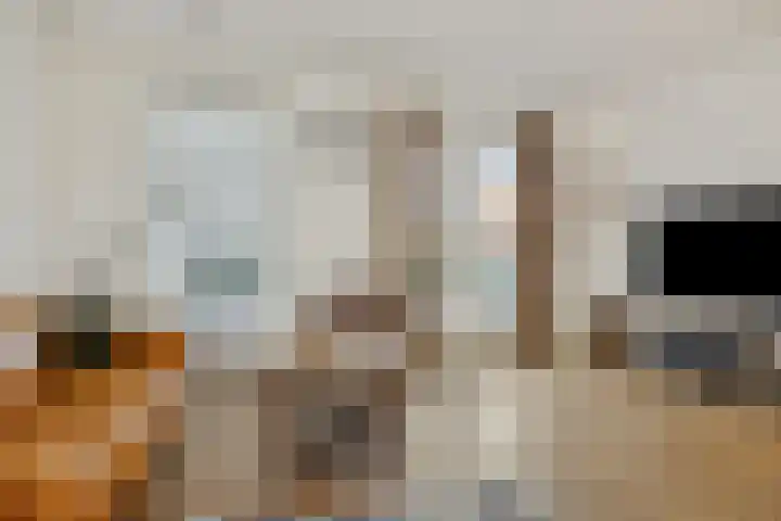 Besselhoeve 2 Helmond thumbnail 12