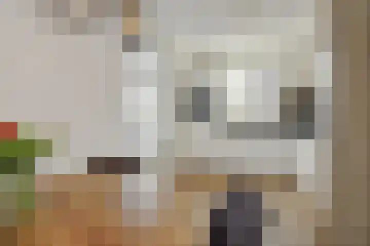 Besselhoeve 2 Helmond thumbnail 14