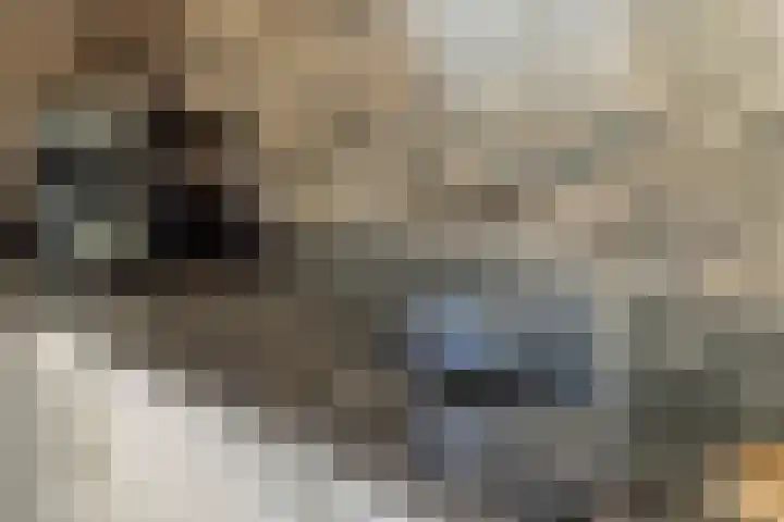 Besselhoeve 2 Helmond thumbnail 15
