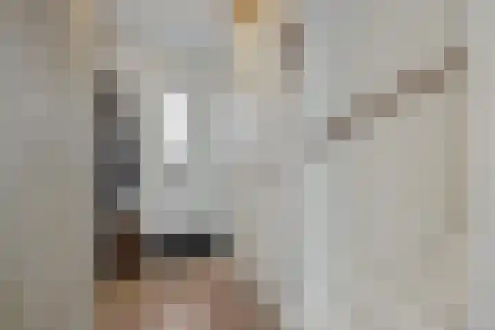 Besselhoeve 2 Helmond thumbnail 7