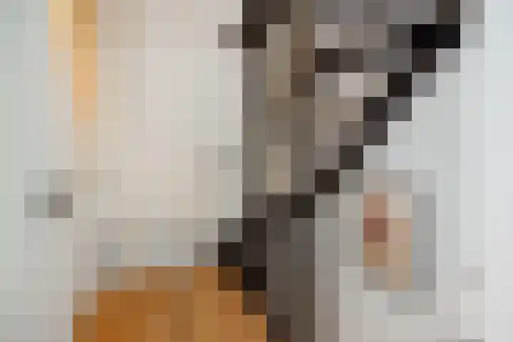 Besselhoeve 4 Helmond thumbnail 18