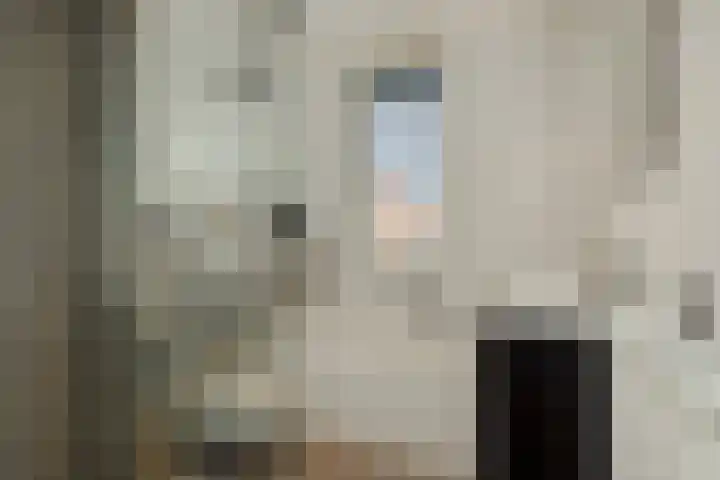 Besselhoeve 4 Helmond thumbnail 23