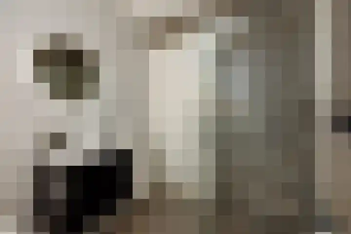 Besselhoeve 4 Helmond thumbnail 24