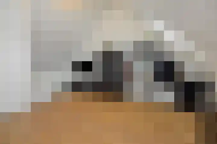 Besselhoeve 4 Helmond thumbnail 25