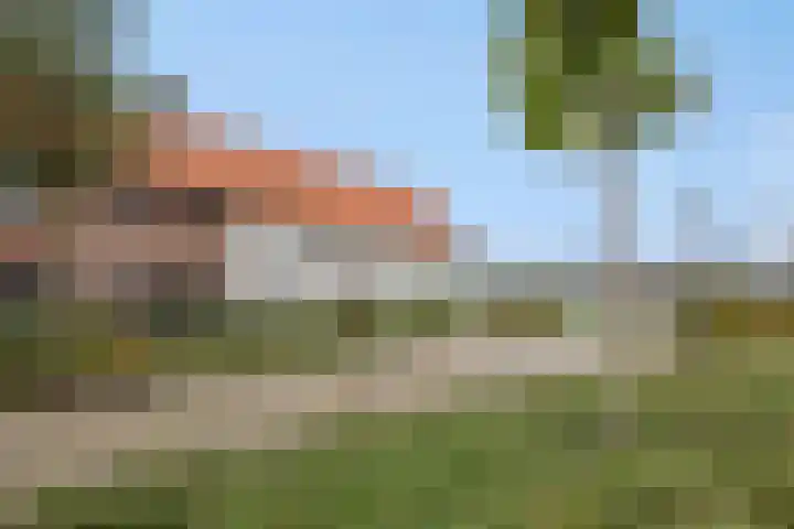 Besselhoeve 4 Helmond thumbnail 5