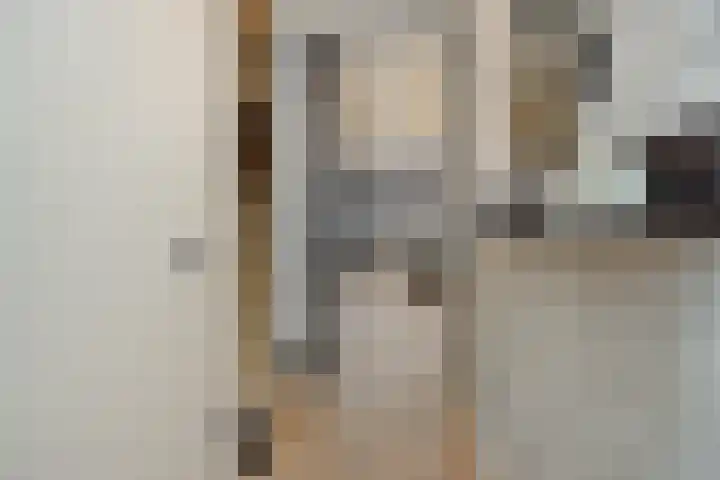 Besselhoeve 4 Helmond thumbnail 7