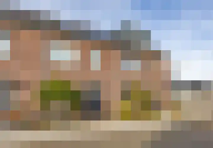 Bessembiender 6 en Siebengewald