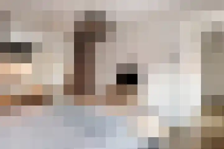 Bessendreef 8 Asperen thumbnail 24