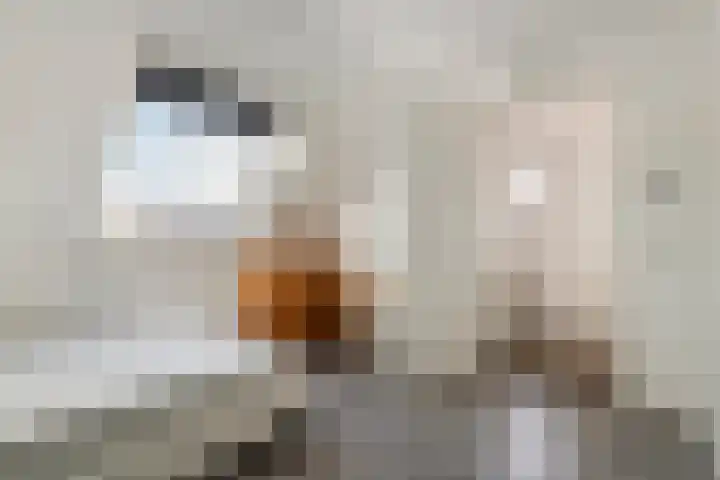 Bessendreef 8 Asperen thumbnail 33