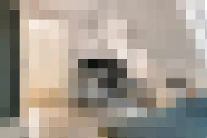 Bessendreef 8 Asperen thumbnail 36