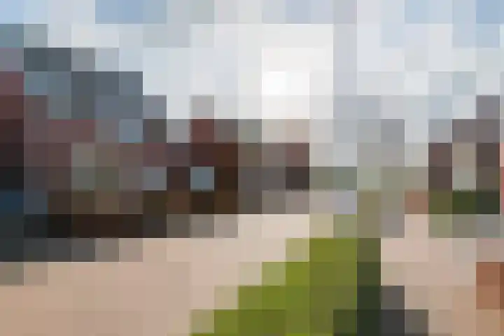 Bessendreef 8 Asperen thumbnail 48