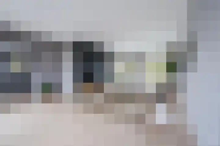 Bessengaard 101 Spijkenisse thumbnail 17