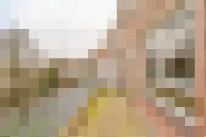 Bessengaard 101 Spijkenisse thumbnail 25