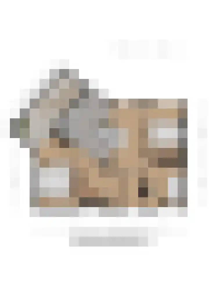 Bessengaard 101 Spijkenisse thumbnail 26