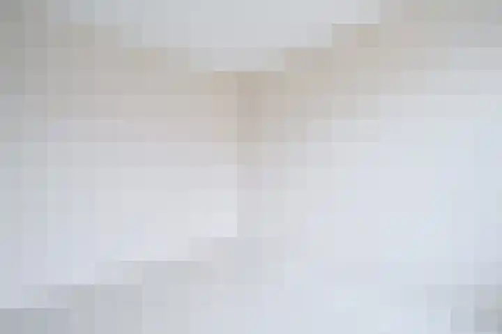 Bessengaard 101 Spijkenisse thumbnail 39