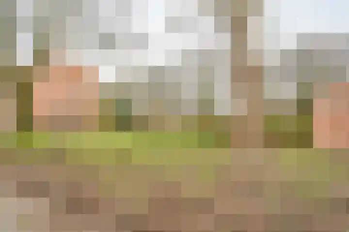 Bessengaard 101 Spijkenisse thumbnail 41