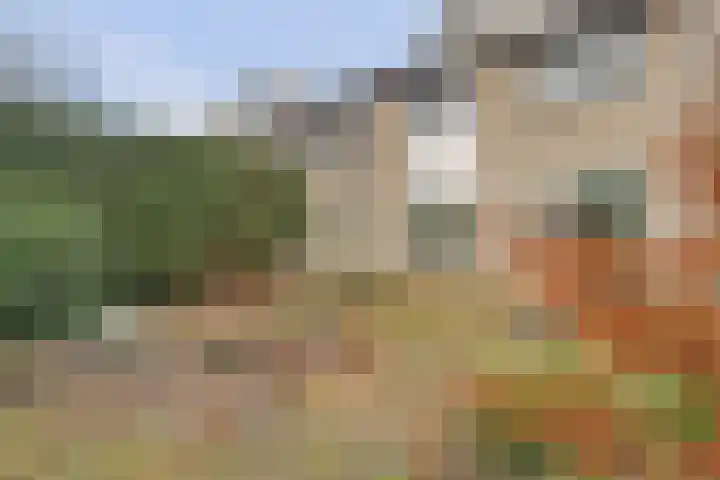 Bessenweg 33 Doetinchem thumbnail 33