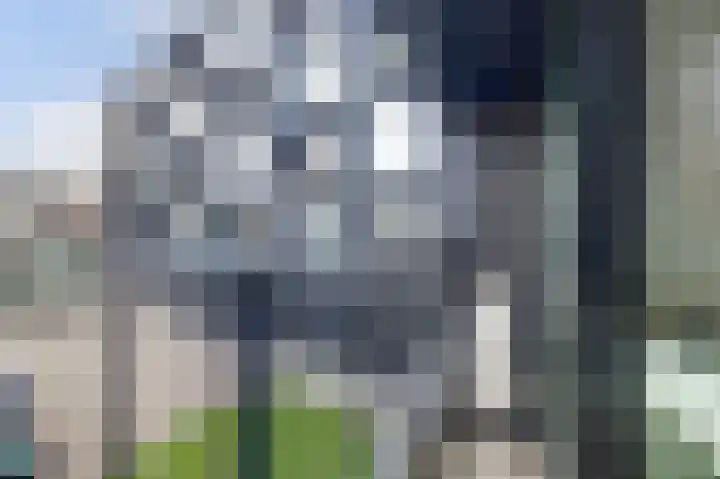 Besterdplein 25 14 Tilburg thumbnail 6