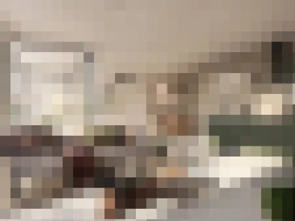 Besterdring 143 Tilburg thumbnail 17