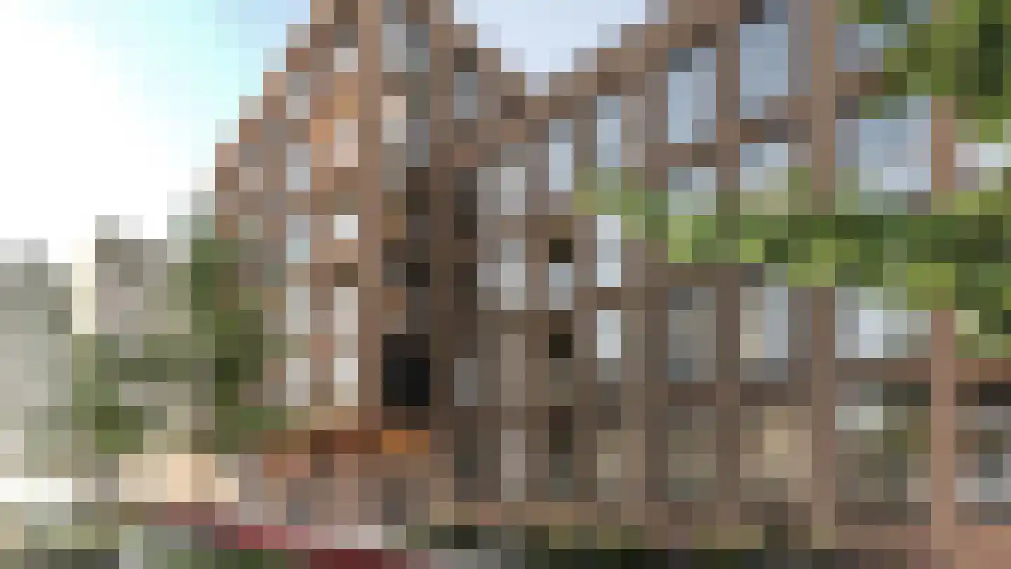 Besterdring 143 Tilburg thumbnail 7
