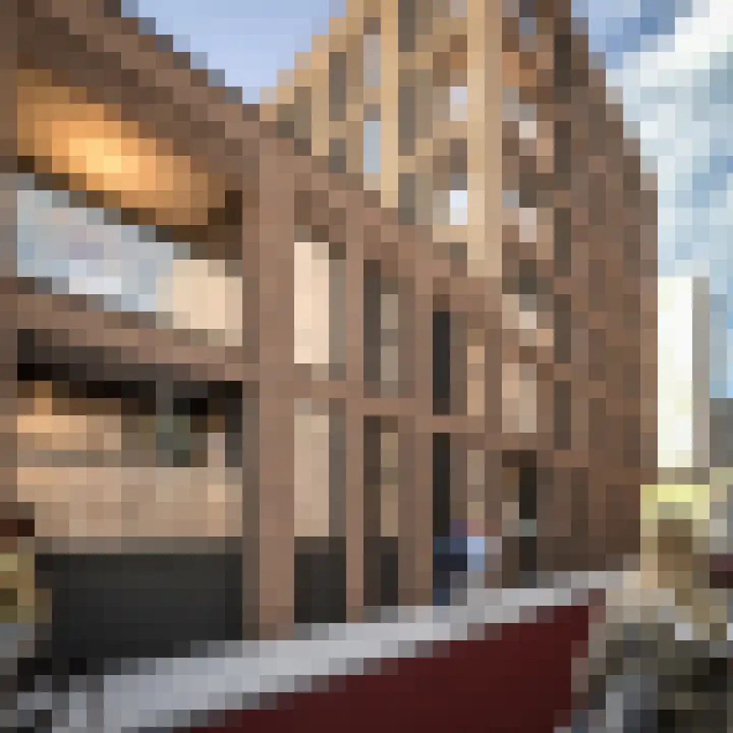 Besterdring 143 Tilburg thumbnail 8