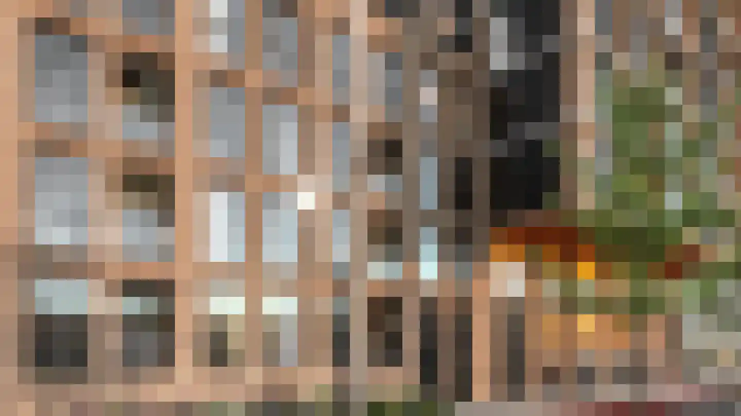 Besterdring 145 Tilburg thumbnail 5