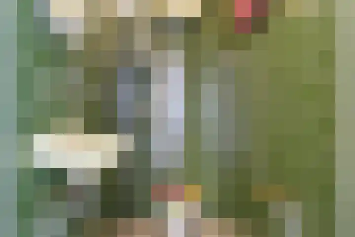 Besterdring 169 Tilburg thumbnail 13