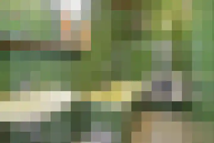 Besterdring 169 Tilburg thumbnail 14