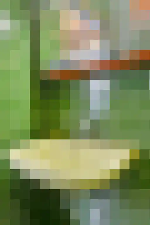 Besterdring 169 Tilburg thumbnail 16