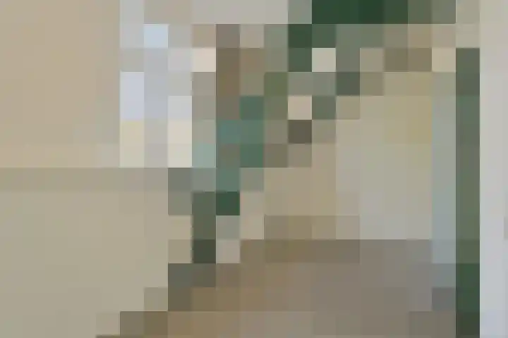 Besterdring 169 Tilburg thumbnail 21