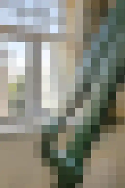 Besterdring 169 Tilburg thumbnail 22