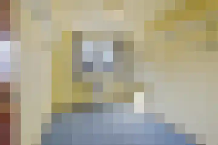Besterdring 169 Tilburg thumbnail 24