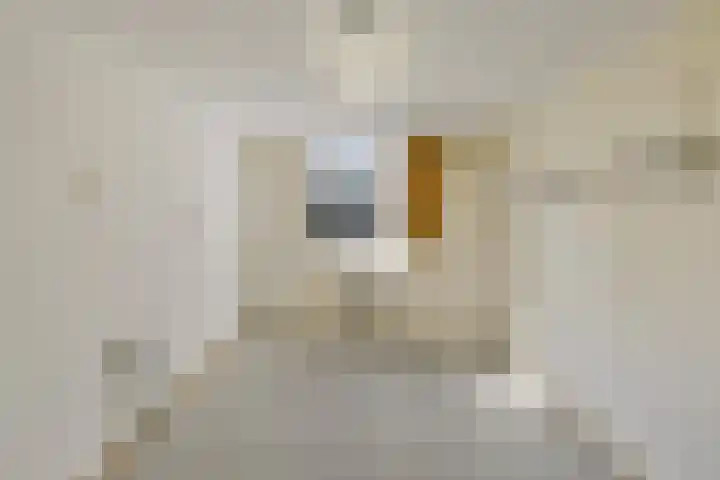 Besterdring 169 Tilburg thumbnail 28