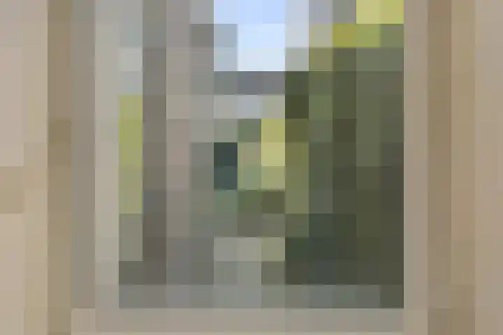 Besterdring 169 Tilburg thumbnail 29