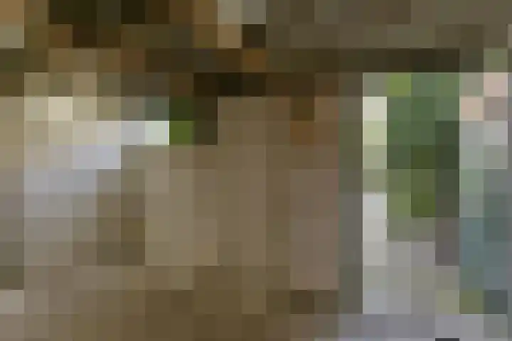 Besterdring 169 Tilburg thumbnail 30