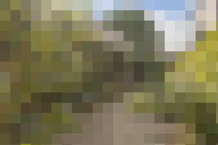 Besterdring 169 Tilburg thumbnail 32