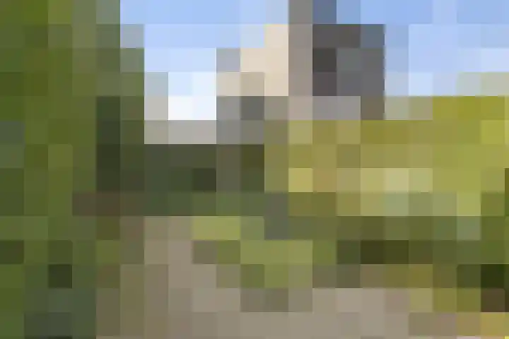 Besterdring 169 Tilburg thumbnail 33