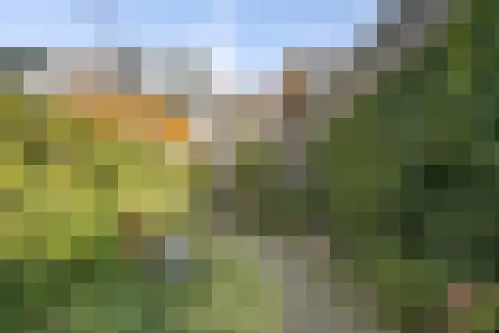 Besterdring 169 Tilburg thumbnail 34