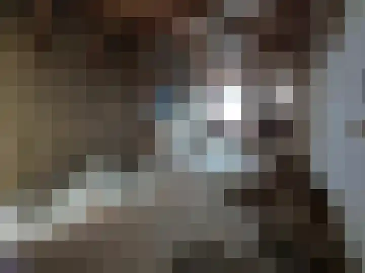Besterdring 169 Tilburg thumbnail 36