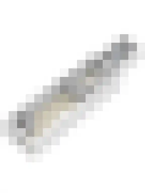 Besterdring 169 Tilburg thumbnail 44