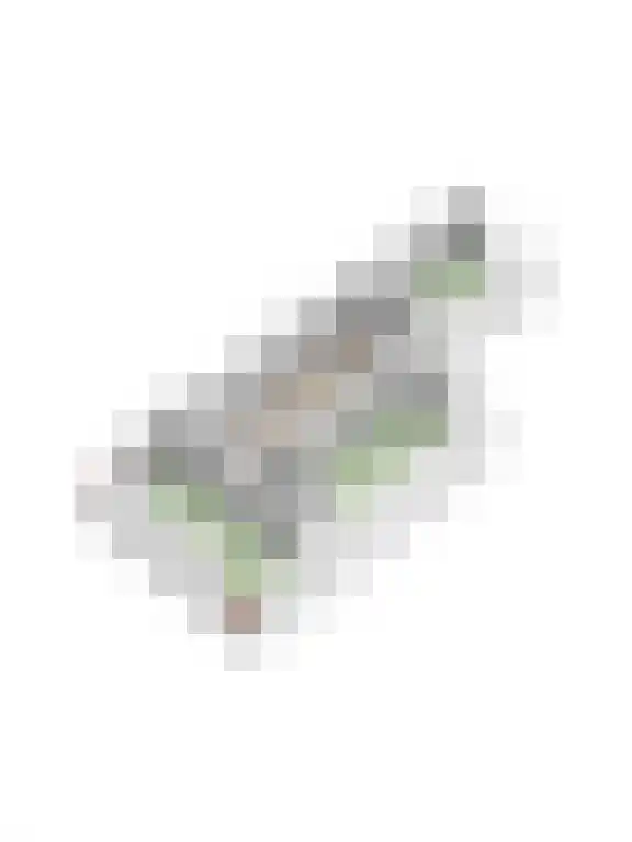 Besterdring 169 Tilburg thumbnail 46