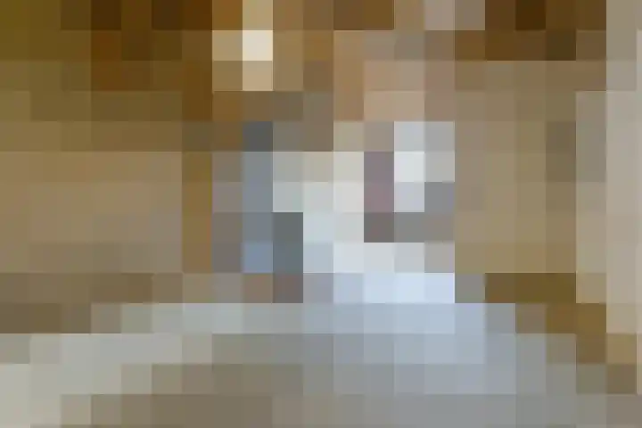 Besterdring 169 Tilburg thumbnail 6