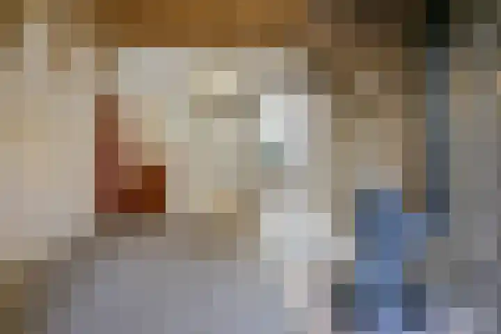 Besterdring 169 Tilburg thumbnail 7