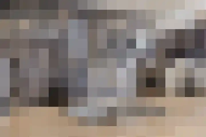 Besterdring 27 16 Tilburg thumbnail 11