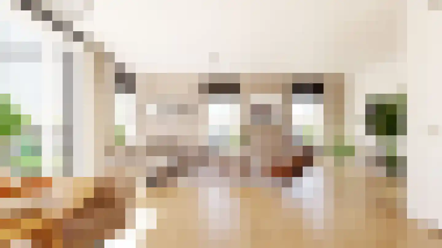 Bestevaer 57 Huizen thumbnail 13