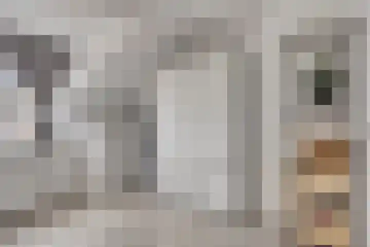 Bestevaerstraat 20 Assendelft thumbnail 17