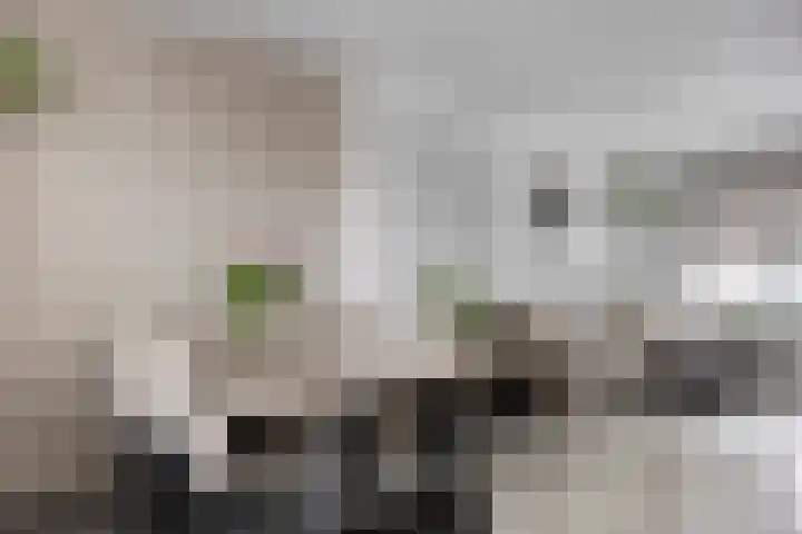 Bestevaerstraat 20 Assendelft thumbnail 6